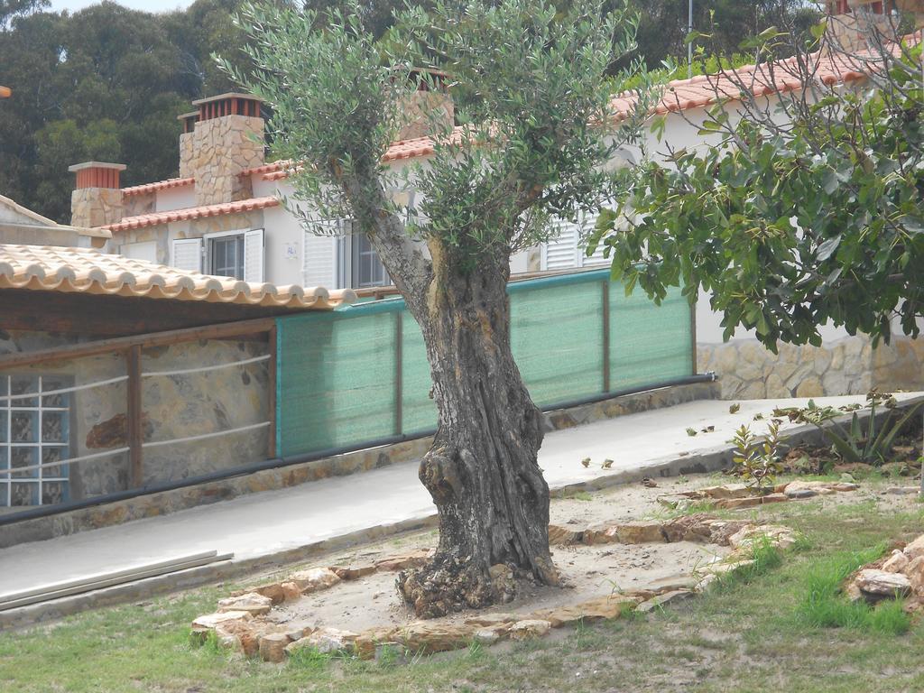 Monte Chabouco - Alojamento Local Kültér fotó